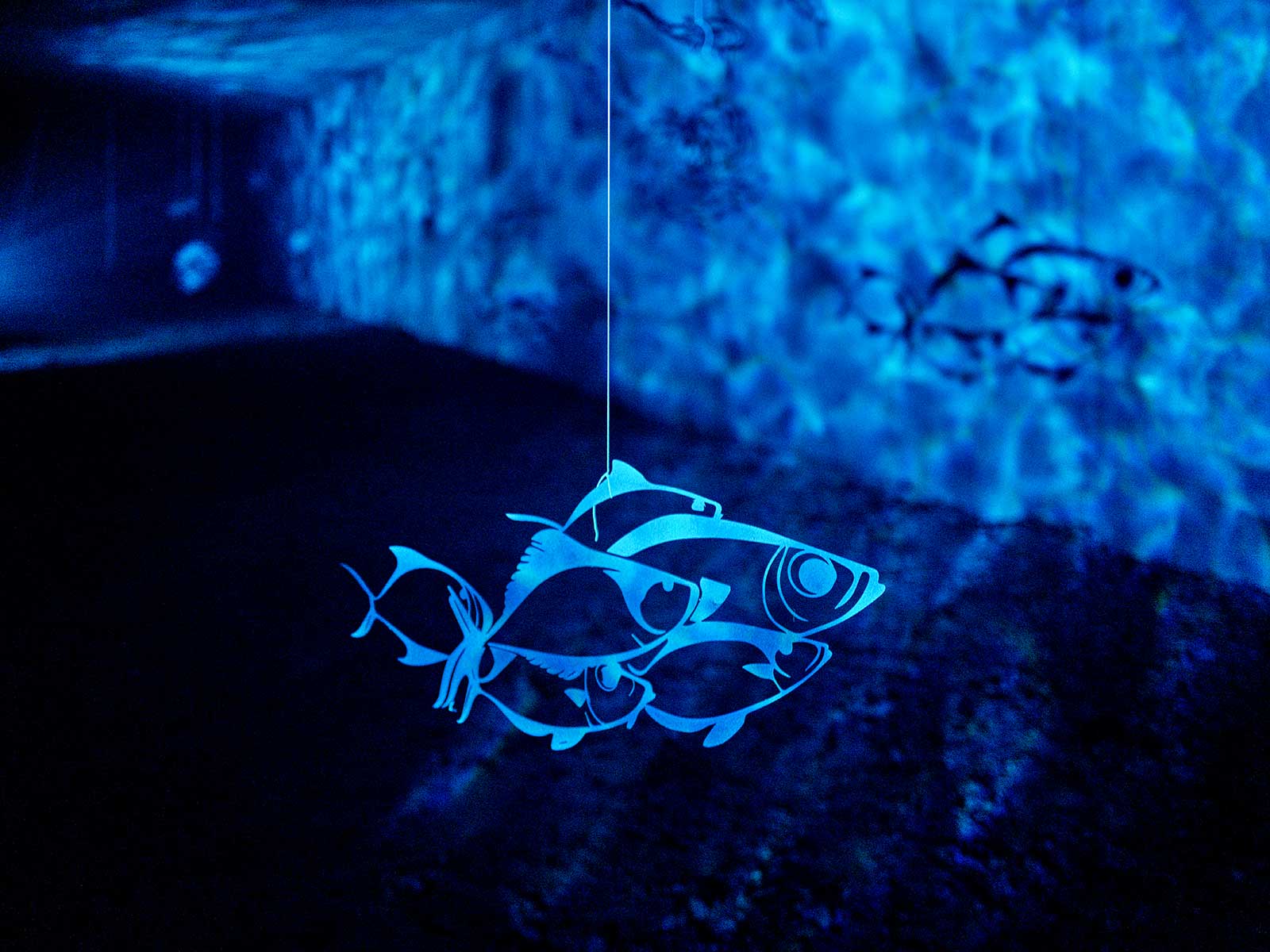 Lichterpfad-2025-26_01_copyright_Daniel-Scheidgen_1600x1200px